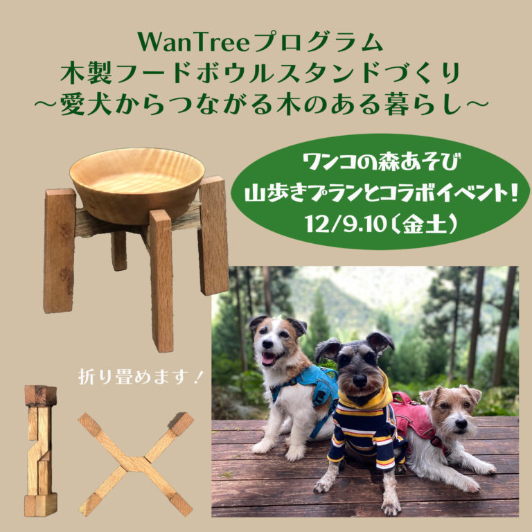 wantreeプログラム宣伝画像　木製フードボウルスタンドづくり～愛犬からつながる木のある暮らし～