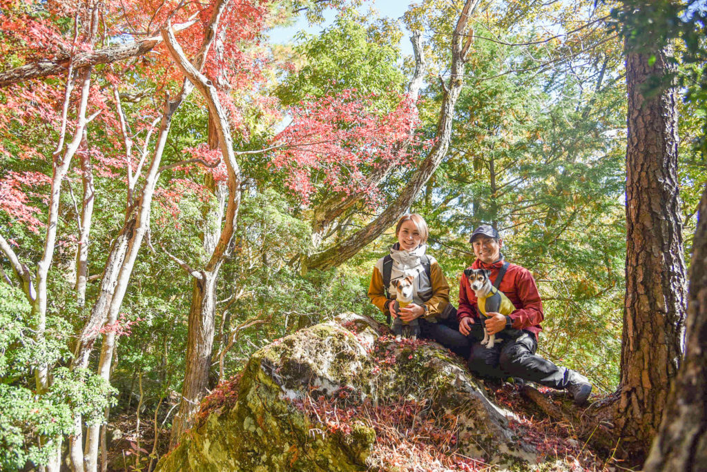 ワンコの森あそび　秋冬プラン山歩きイメージ