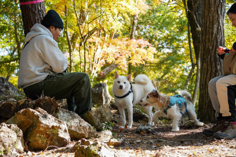 WansLaugh（ワンズ・ラフ）2025秋冬プランイメージ写真2