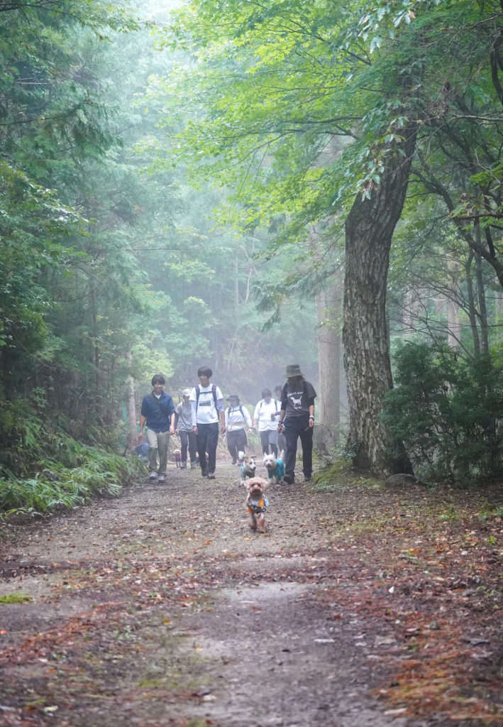 WansLaugh（ワンズ・ラフ）2025秋冬プランイメージ写真1