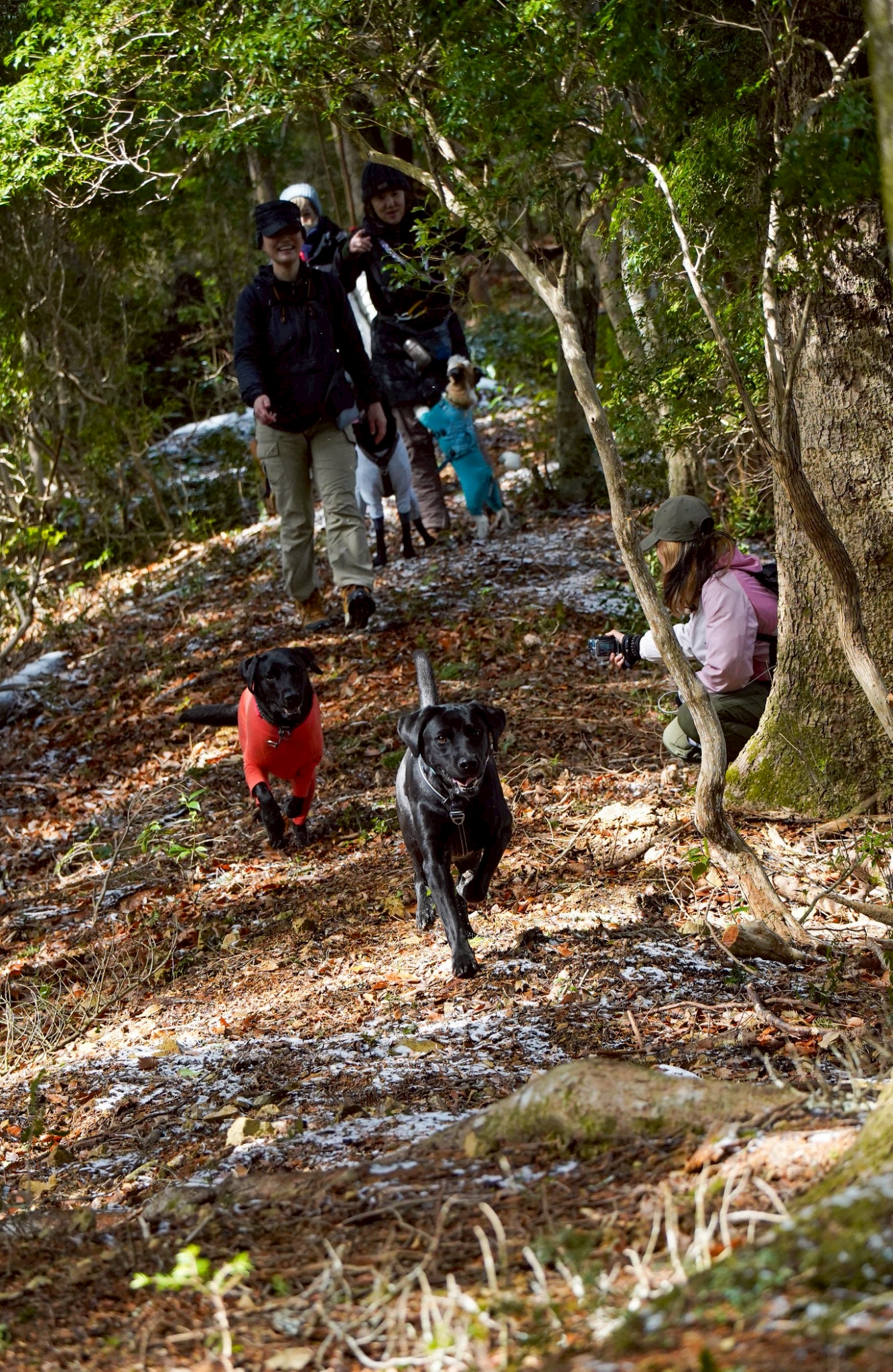 WansLaugh（ワンズ・ラフ）2026早春プランイメージ写真