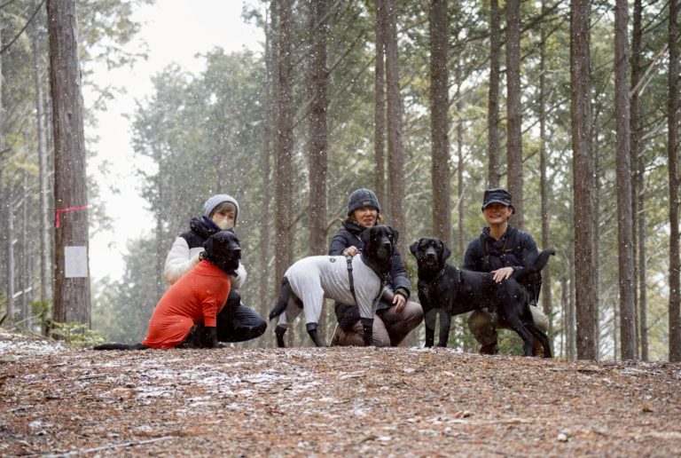 WansLaugh（ワンズ・ラフ）2026早春プランイメージ写真