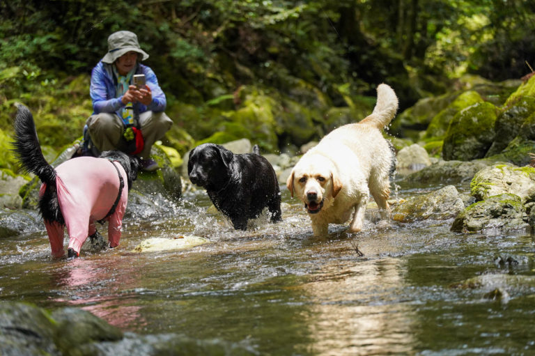 WansLaugh（ワンズ・ラフ）2026春・初夏プランイメージ写真