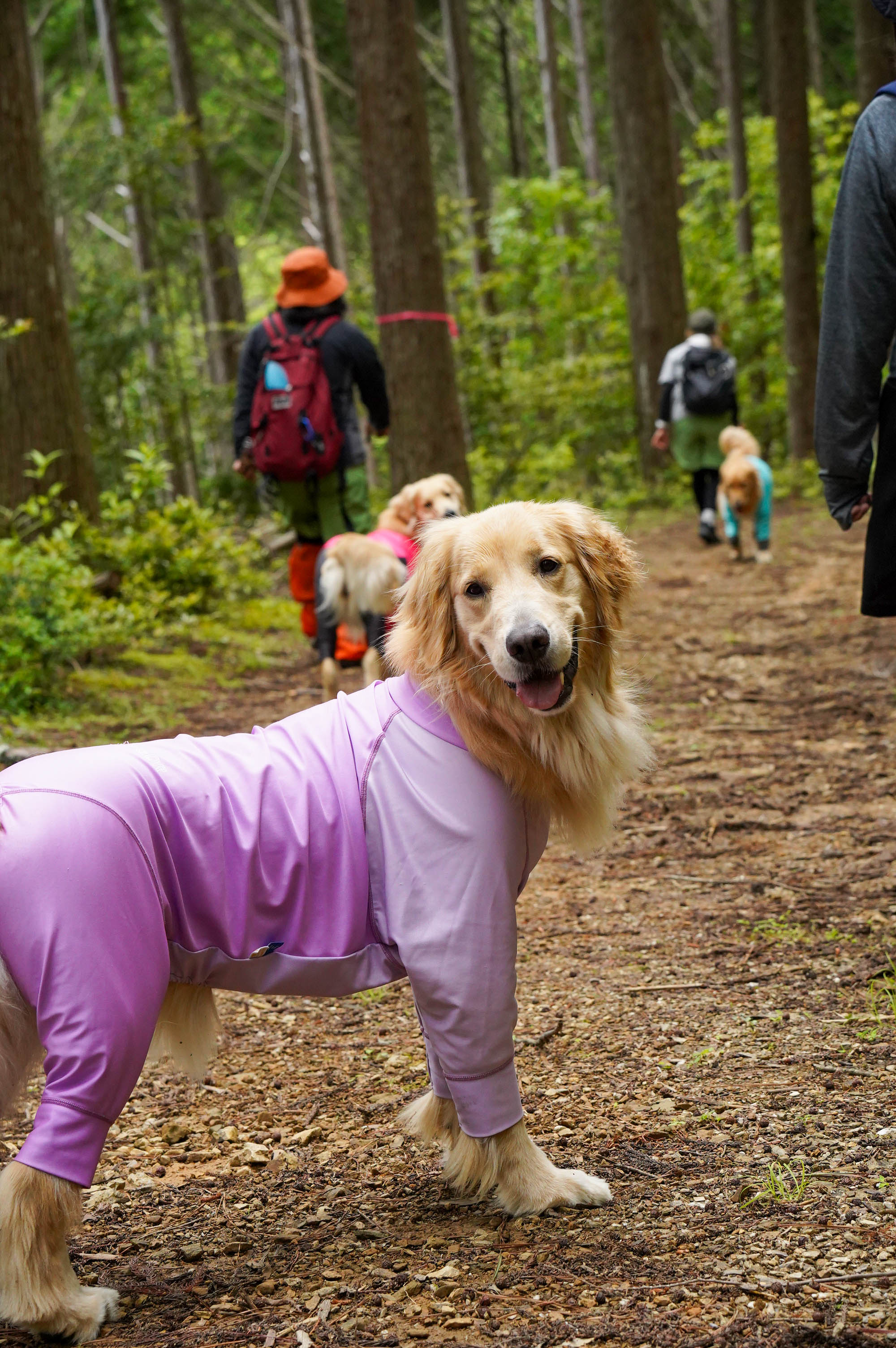 WansLaugh（ワンズ・ラフ）2026春・初夏プランイメージ写真