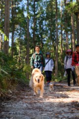 ワンコの森あそび ハイキングコースイメージ写真